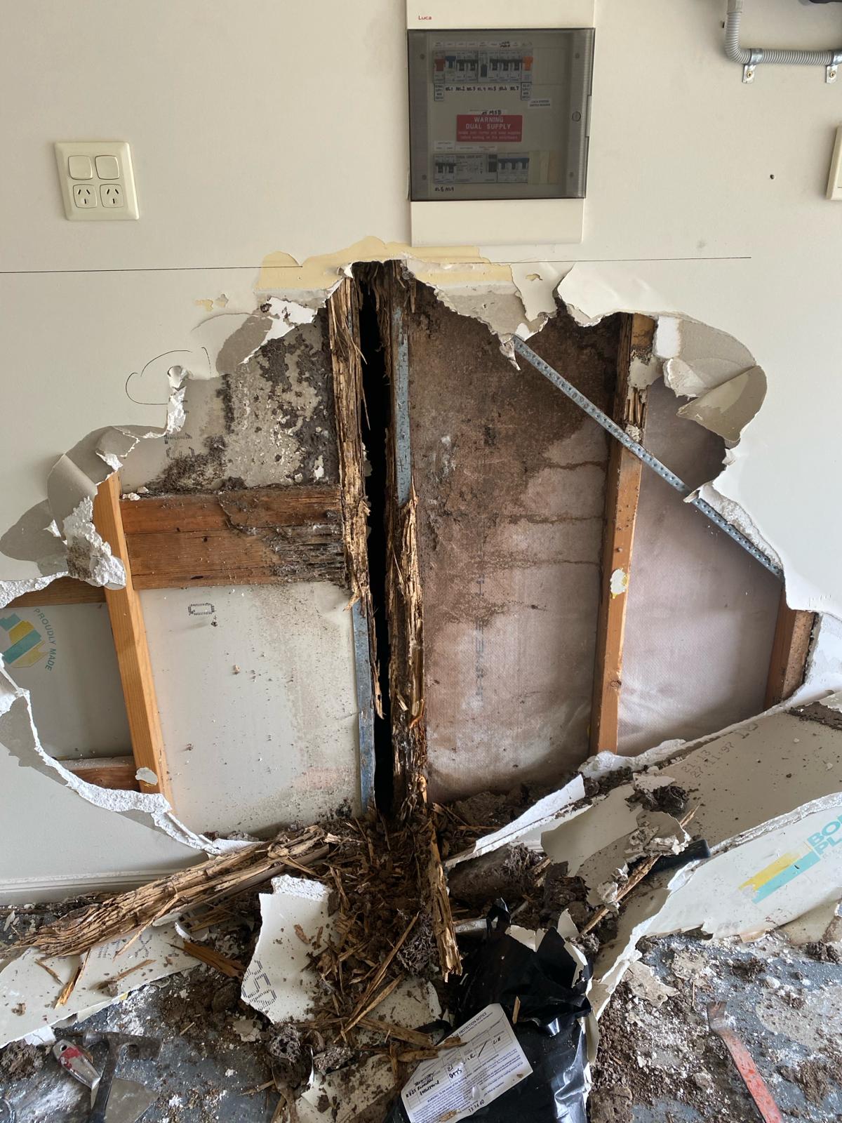 A wall cavity opened up to show damaged timber studs