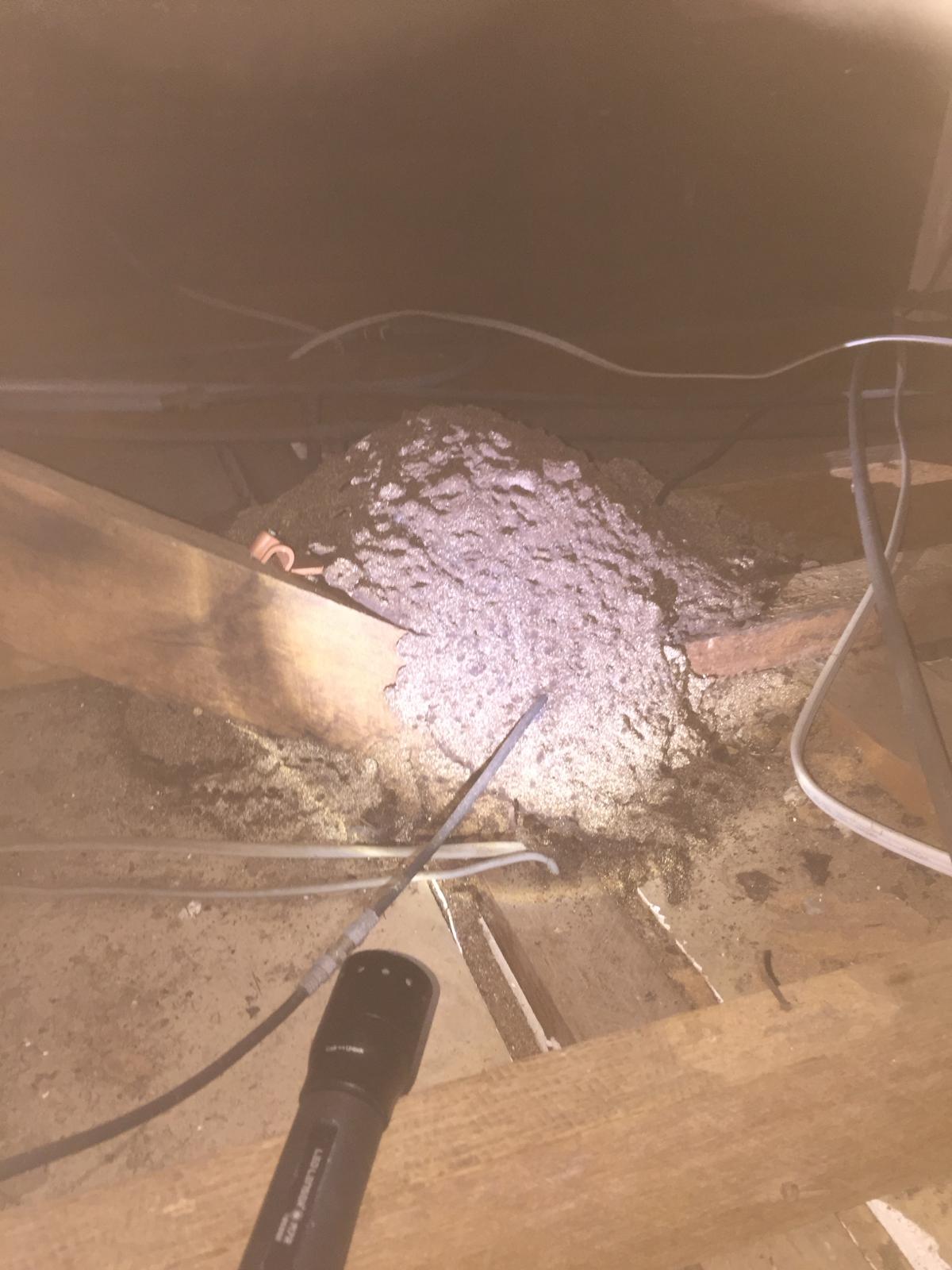A termite nest between roof timbers, lit by torch